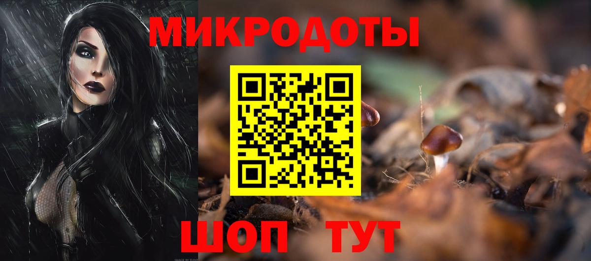 Псилоцибиновые грибы Cubensis  Вход с VPN  Коркино 