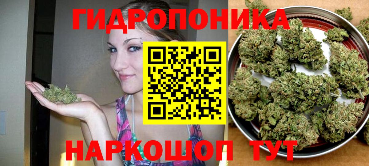 Бошки Шишки марихуана Коркино